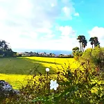 Panzitella * Forio di Ischia