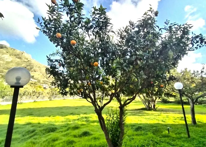 Panzitella Appartamento Forio di Ischia
