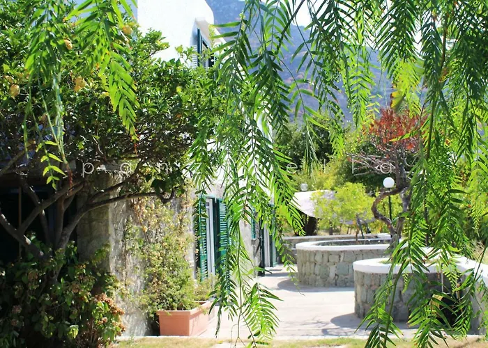 Panzitella Daire Forio di Ischia