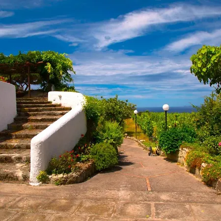 Panzitella Lejlighed