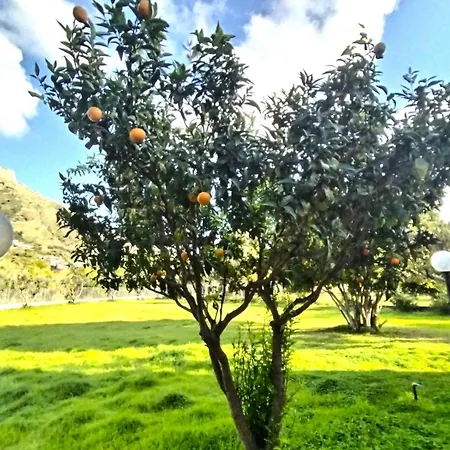 Panzitella Lejlighed Forio di Ischia