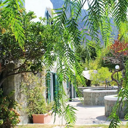 Panzitella Lejlighed Forio di Ischia