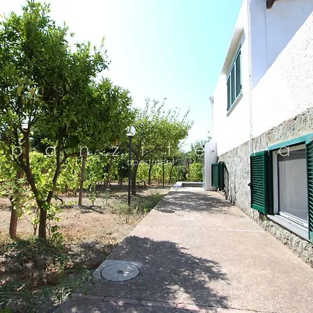 Panzitella Lejlighed Forio di Ischia