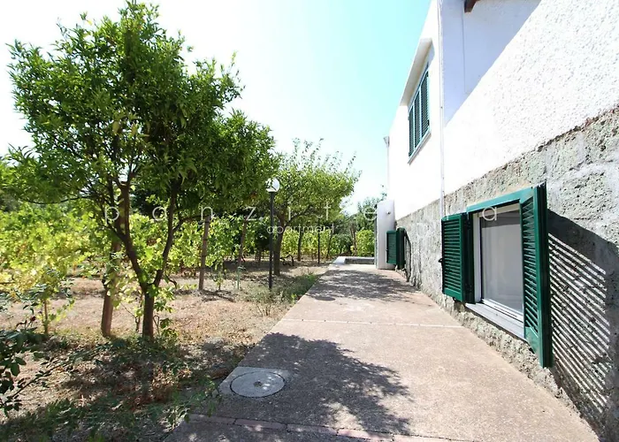 Panzitella Διαμέρισμα Forio di Ischia